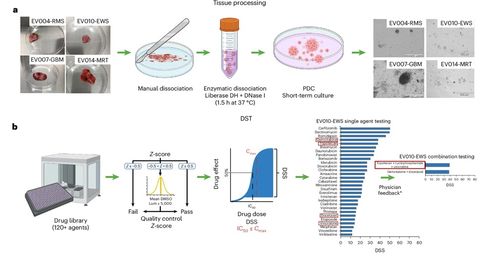 廣種薄收與直搗黃龍 腫瘤學產品開發的“太極生兩儀”與網絡科技技術開發的啟示
