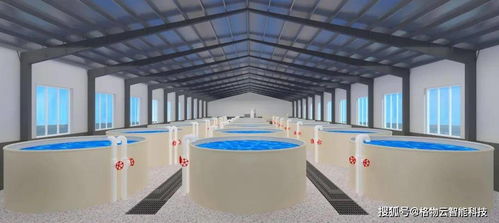 智慧水產(chǎn) 網(wǎng)絡(luò)科技如何重塑現(xiàn)代養(yǎng)殖模式